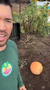 203K views · 5.2K reactions | This might be the most random...