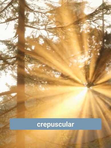 Exploring Crepuscular Rays: Definition and Causes