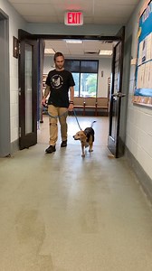 Adopt Prince! This 7 year old cutie is great with other dogs and people. Kids 10 are his best fit. Open Saturday, 12-5 #weareyourcityshelter #adoptprince | Richmond Animal Care & Control