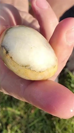 Two Different Types Of Quartz in One Round Bomb? What Is This Weird #Rock