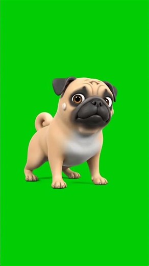 Dog cartoon Animation Green Screen
