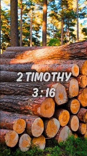 2 Timothy 3:16