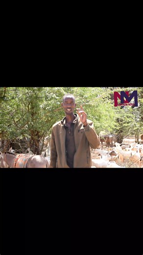 #news #viral #northernmediatv