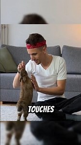 Rabbits Can Do Tricks?