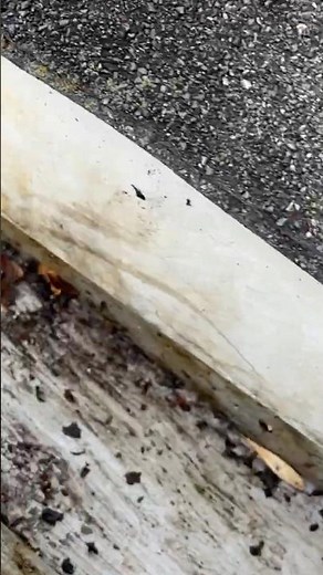 Gutter cleaning DIY - Cleaned 🙌