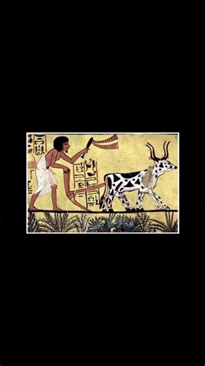 Why Egypt Restricts Further Pyramid Research 🔺 | The Real Reasons