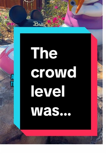 Disney Water Park Day: Perfect Weather and Crowds