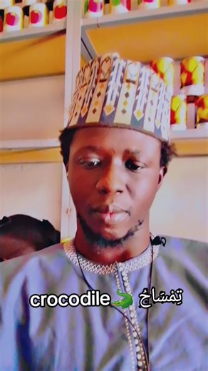 All About Crocodiles: Facts and Features Explained