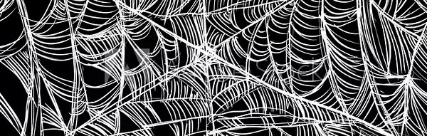 Animation of a spider filling with white webs on a black screen. Video transition with sketch gothic effect. Stock animation of a spider web for Halloween in 4K with alpha channel.