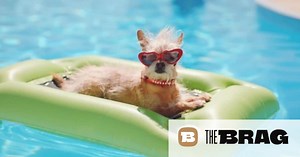 Check out this amazing time-lapse video of building a swimming pool