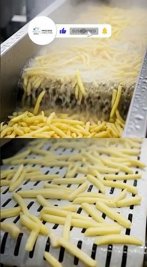 How Frozen French Fries Are Made (From Field to Freezer) | Inside a Fry Factory #howitsmade #facts