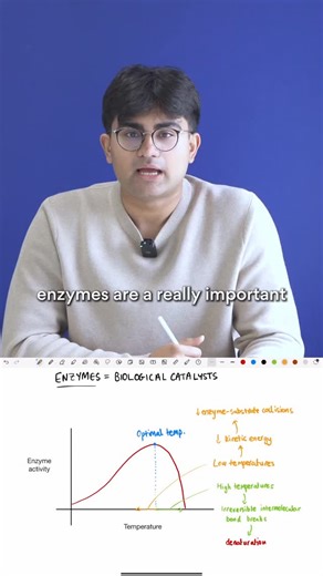 ACE Specialist Tuition on Instagram: "Do you know the importance of Enzymes in Biology? 🔬 Watch as Hasan (99.95 ATAR 🌟, Head of Biology) highlights this key concept for Module 1 Preliminary Biology! 🧬 Book now for a 2-week obligation-free trial 📚🔗 Link in our bio!⁠ #hsc2026 #acehsc #hscbiology #acebiology #hsc"
