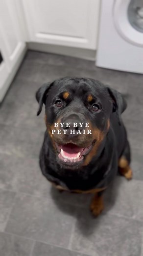 Effortless Washing Machine Cleaning with Vamoosh Cleaner