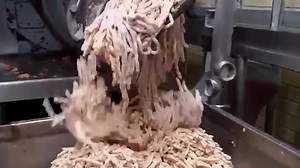 DO QUE É FEITA A SALSICHA? Muita gente se pergunta sobre do que é feita a salsicha e o tema gera várias discussões. Mas é muito simples saber e o que tem dentro das salsichas não é nada bonito. Confira no vídeo abaixo do que são feitas as salsichas da Perdigão, Sadia e Seara. Fonte. Vista-se | Voluntário Animal