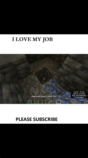 L LOVE MY JOB #minecraft #youtubeshorts #shorts