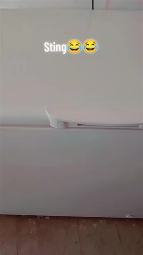 Humorous Sting Reactions That Will Make You Laugh