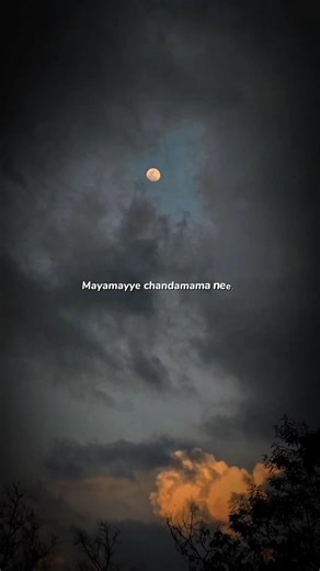 yellipoke... #lyrics #shorts