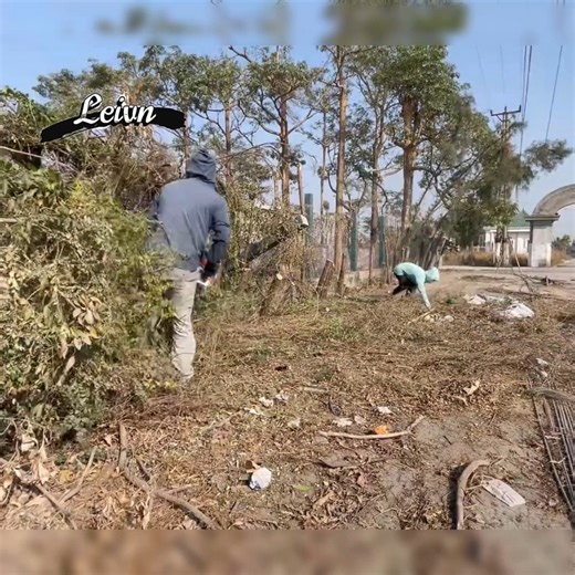 Miraculous and Daunting Clearing fallen trees and Cre:Clean up Mowing sawing trees . . . . . #deepcleaning #oddlysatisfying #beforeandafter #makeover #transformation #sariafyingcleaning #sparklingclean #tidyup #deepclean #homecleaning #putzen #nettoyer #cleaning #rivercleanup #cleanupthedirtykitchen #cleantok #superclean #kitchencleaner #limpiezahogar #cleaningforfee #housecleaning #kitchencleaning #bedroomcleaning #livingroomcleaning #cleanupthetrash #cleanupthedirtyroom | Esma