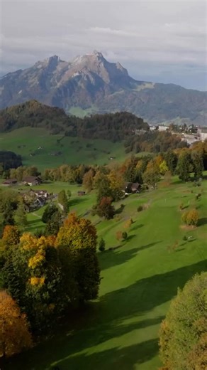 3.3K views · 99 reactions | The greens are calling one last time! As...