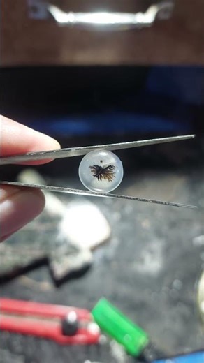 Batu akik dendrit #batuakik