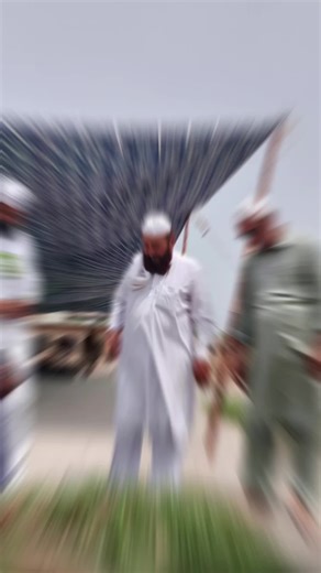 SQF SialSharif on TikTok
