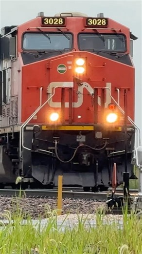 BNSF Grain train w/ Canadian National Tier 4s!! #canadiannational #bnsf #bnsfrailway #train #railway
