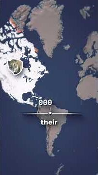 Why Are There Almost No Lions Outside of Africa Today?