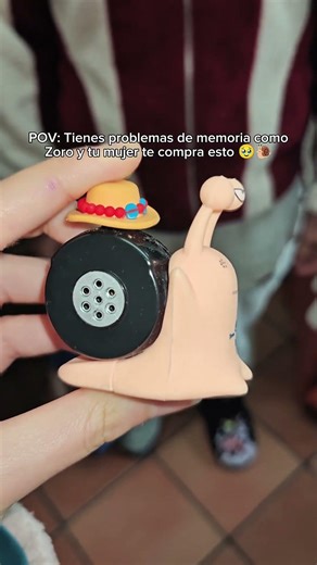 I HAVE MEMORY PROBLEMS LIKE ZORO FROM ONE PIECE... AND MY WIFE BOUGHT ME THIS! 🥹🐌