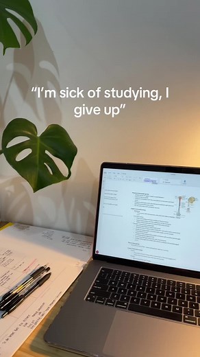 Boost Your Motivation and Ace Your Year 12 Exams