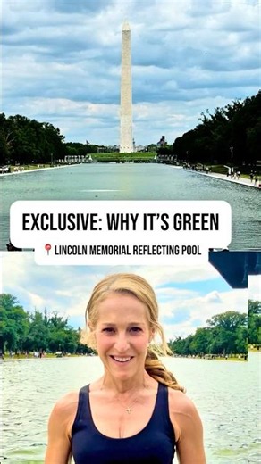 EXCLUSIVE: Why Reflecting Pool is Green from Algae