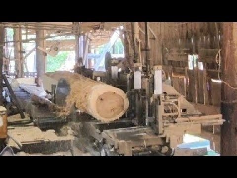 Sawing 10ft poplar part 1 #205