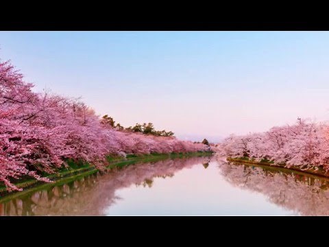 Spring Is Nearly Here/The Shadows