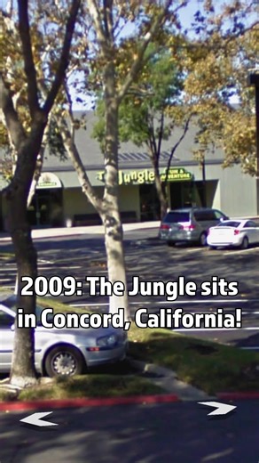 The Jungle in Concord, California! #nostalgia #creepy #thejungle #concord
