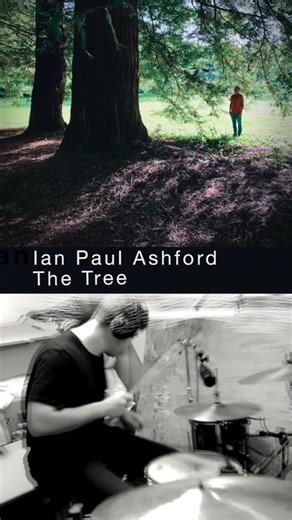 Ian Ashford - The Tree #ianpaulashford #music #irishartist