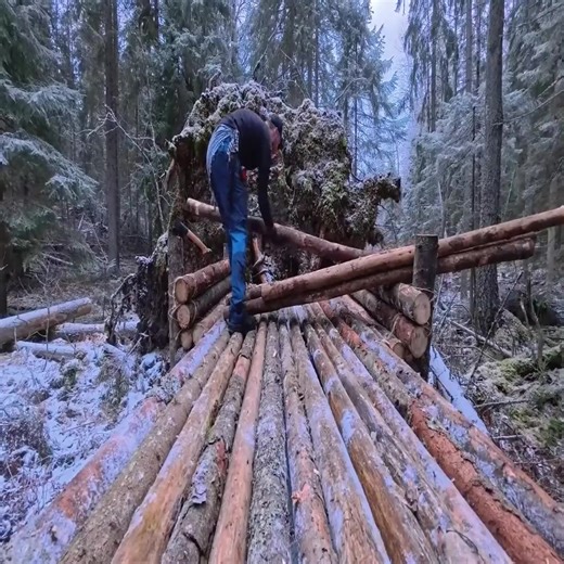 3 Days Bushcraft Camp in the Forest _ Building a Wooden Shelter _ Throne + Overnight_Part007 | Off-Grid Adventures | Facebook