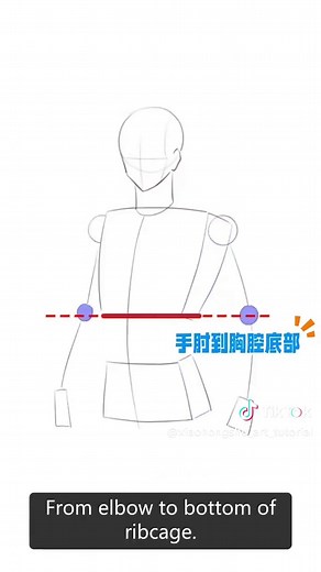 Male Figure Drawing Practice: Anatomy Tutorial for Artists