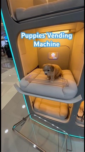 I Bought a Puppy From a Vending Machine! 😂🐶📦 | Funniest Skit Ever