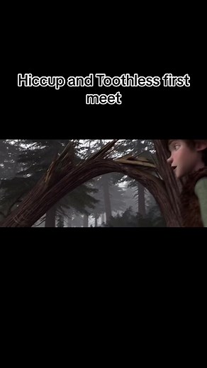 Hiccup and Toothless Encounter: A Dragon's Tale