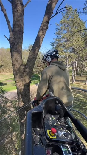 Another day another treetop.#niftylift #stihl #treeremoval #treetops #minnesotatrees | Treetec LLC