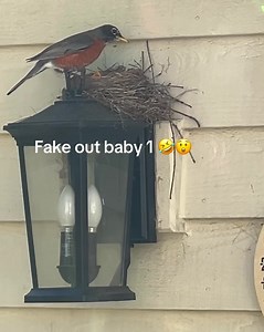 Learning Express Toys Lake Zurich serving the Chicago NW Suburbs on Reels | Facebook