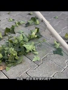 411K views · 984 reactions | Gait Ictl Computer on Reels | Facebook