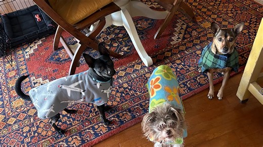 Have Some Common Courtesy, Why Doncha?