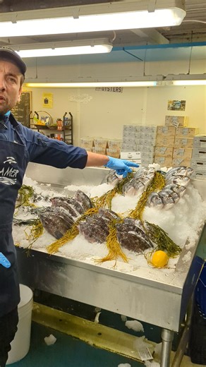 Arrivage du 17 octobre avec des poissons que vous n'aviez jamais vu! #poissonnerie #fishmarket | Poissonnerie La Mer