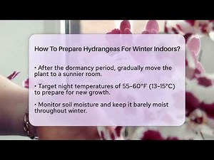 How To Prepare Hydrangeas For Winter Indoors? - The Plant Enthusiast