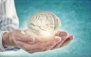 Une vidéo pour mieux comprendre le fonctionnement de la plasticité cérébrale dès notre naissance