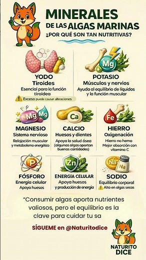 🌊ALGAS MARINAS Y MINERALES: LO BUENO Y LO QUE DEBES MODERAR#algas #mineralesnaturales
