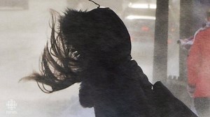 140K views · 1K reactions | Just in case you're wondering how cold...