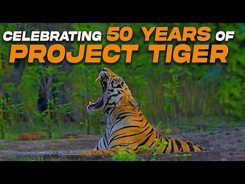 Celebrating 50 years of Project Tiger