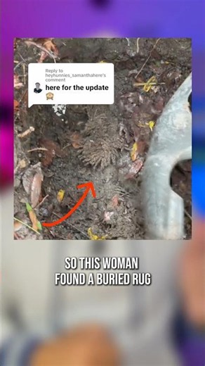 TikTok Turned A Rug Into A Mystery 😳 🚔