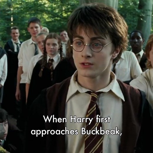 Did You Catch This in "Harry Potter and the Prisoner of Azkaban?" #movietrivia #moviefacts